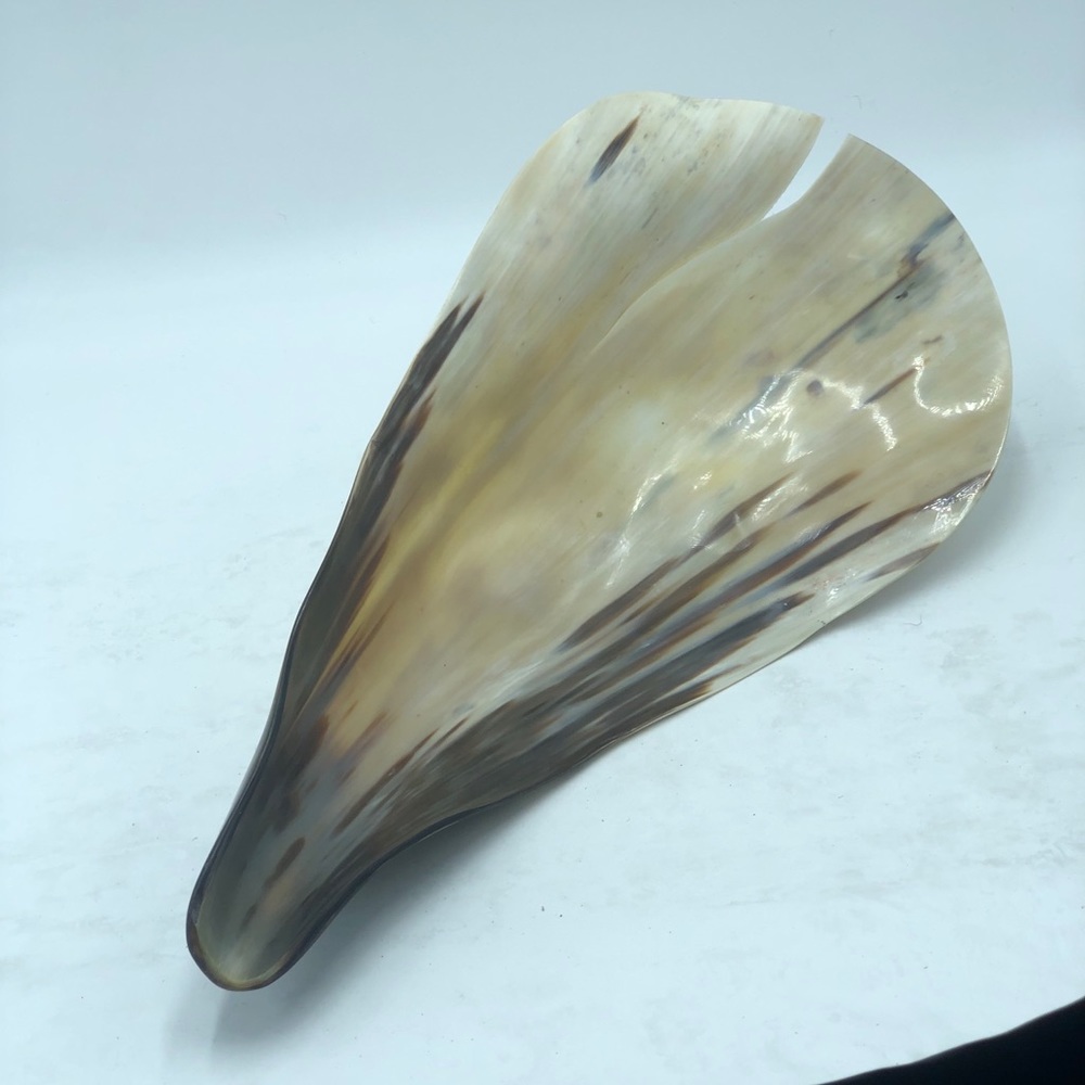 Large Horn Decorative Piece